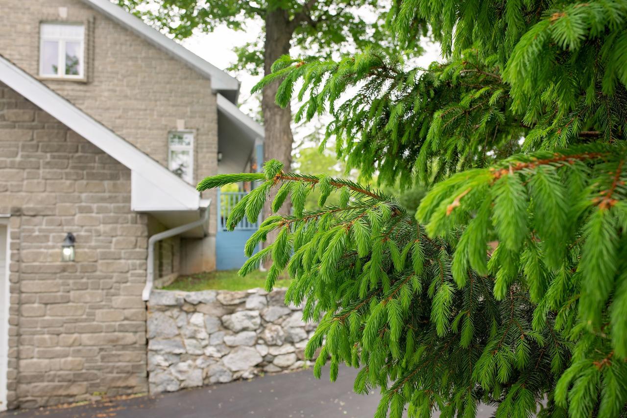 Rock Hill Bed & Breakfast Sharbot Lake Buitenkant foto